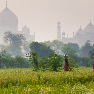 Uttar Pradesh